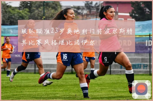 狼队瞄准23岁奥地利门将波尔斯特其比赛风格堪比诺伊尔