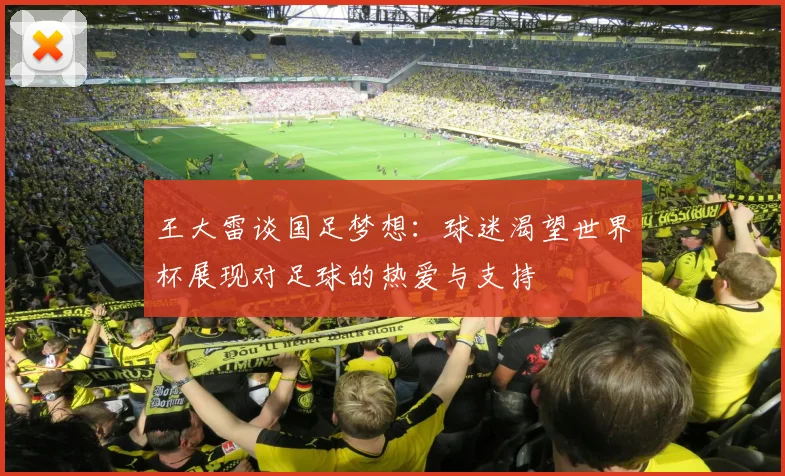 王大雷谈国足梦想：球迷渴望世界杯展现对足球的热爱与支持